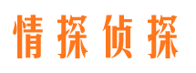 安平市婚外情调查